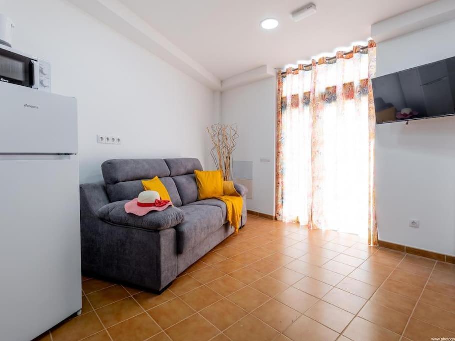 Cozy Orchilla Estudio Apartment